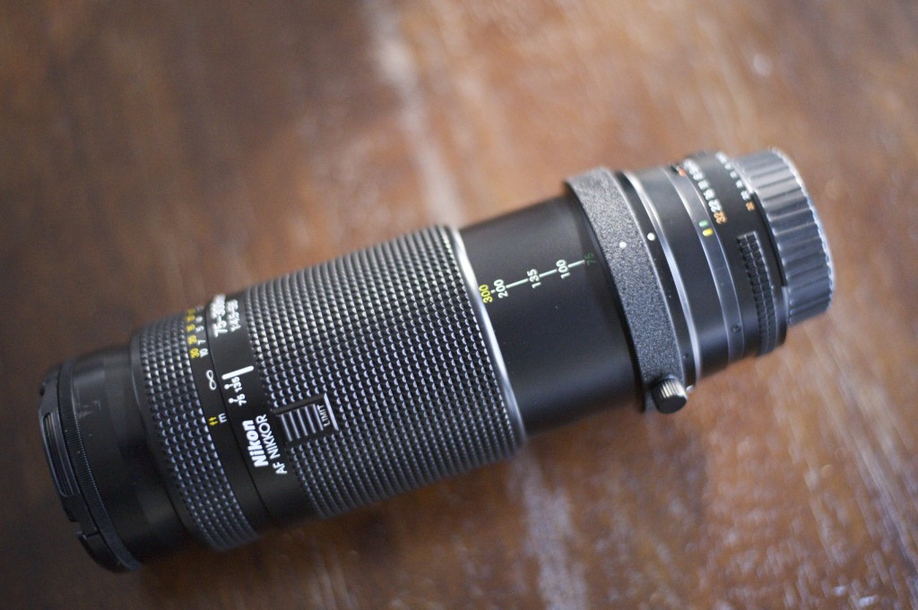 Nikon AF NIKKOR 75-300mm F4.5-5.6 | 髭のある生活